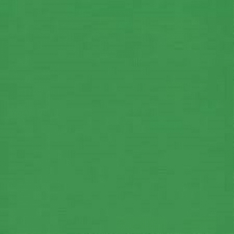 Statisch raamfolie groen (Penstick) (30x50cm) (Raamfolie-groen)